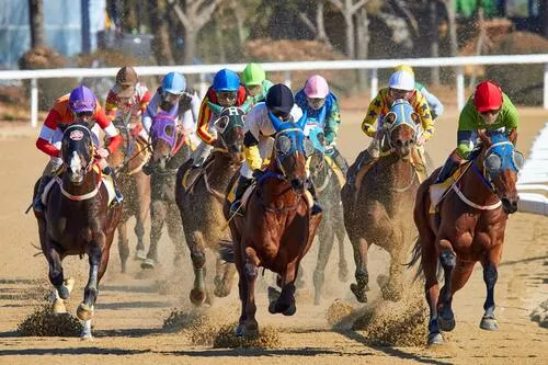 Malaysia Horse Racing Tips: How to Profit from Horse Betting