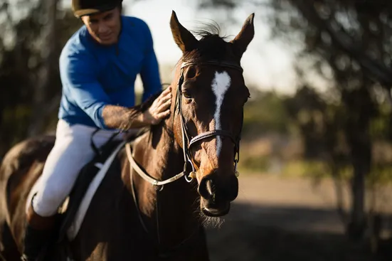 The Essential Role of Jockeys in Horse Racing Outcomes