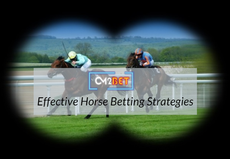 Effective Horse Betting Strategies