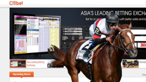Make money through horse betting