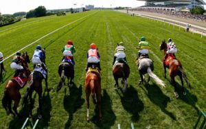 Horse Racing Trading Strategies