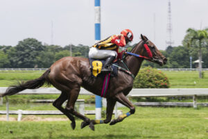 Singapore Pools Betting - Horse Racing Odds