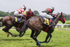 Singapore Pools Betting - Reading Horse Racing Odds